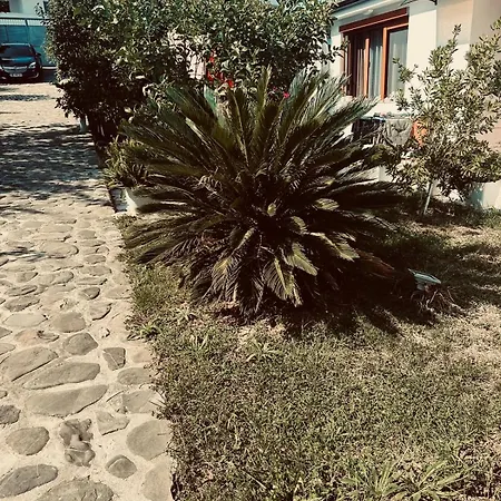 וילה A Touch Of Nature *